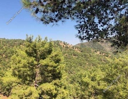 Land in Nicosia (836939) for sale