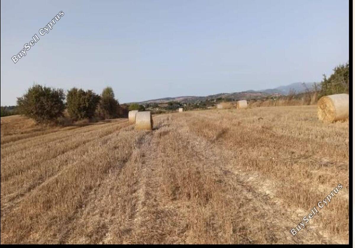Land in Paphos (837018) for sale