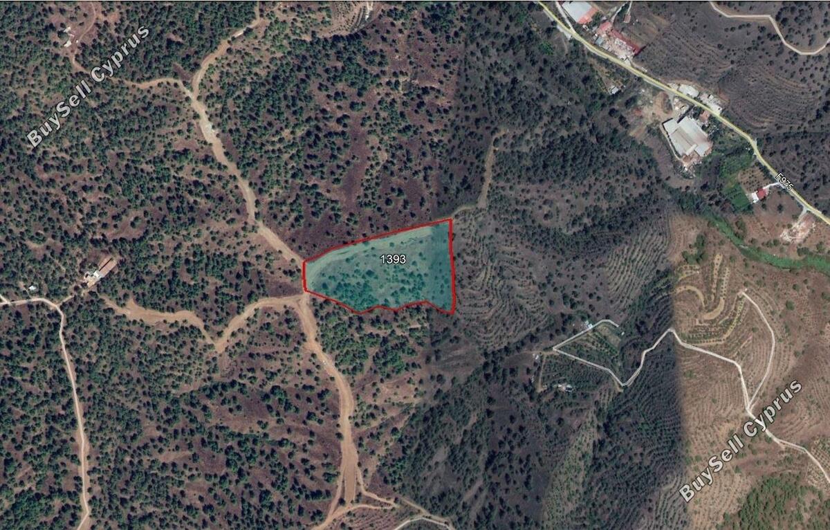 Land in Paphos (837038) for sale