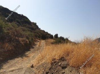 Land in Nicosia (837065) for sale