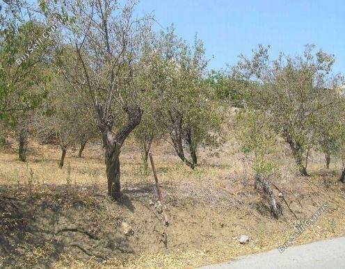 Land in Limassol (837113) for sale