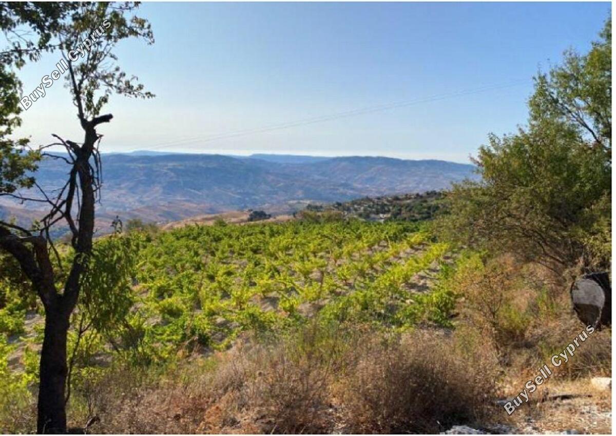 Land in Paphos (837120) for sale