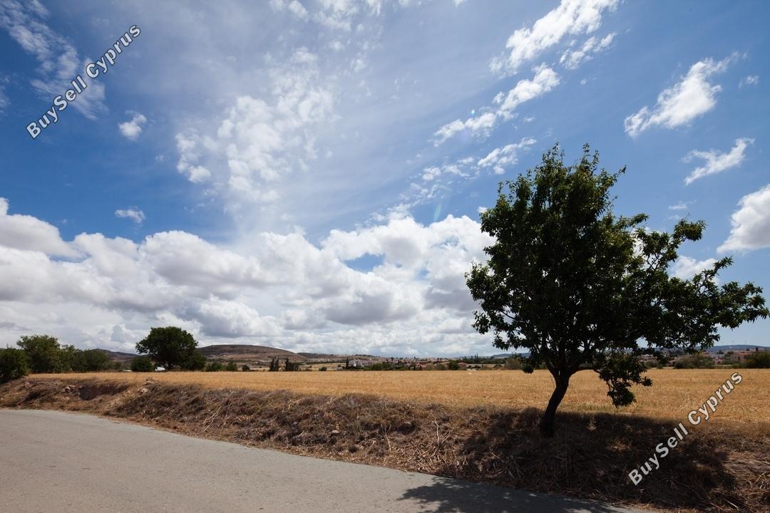 Land in Paphos (837147) for sale