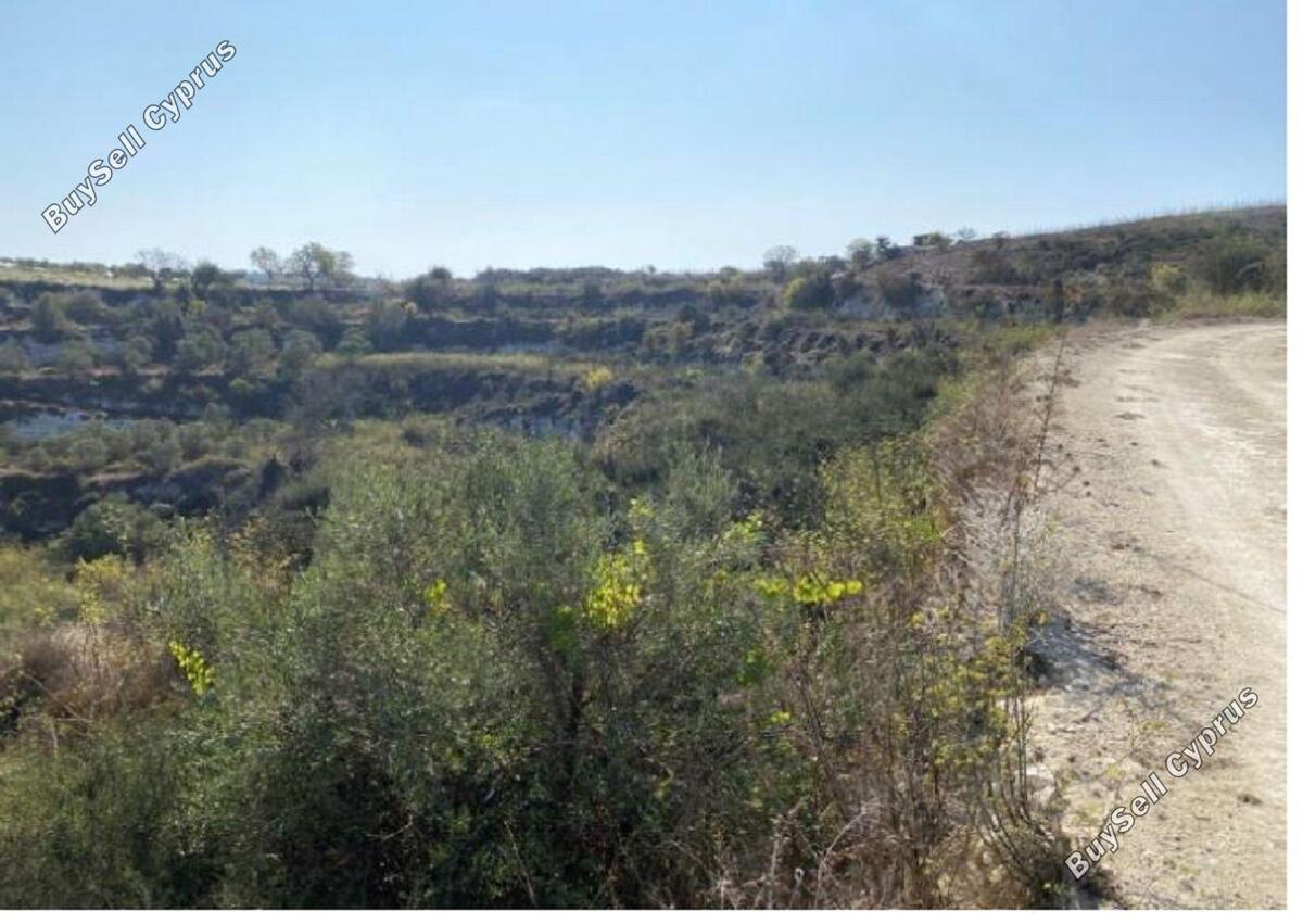 Land in Paphos (837157) for sale