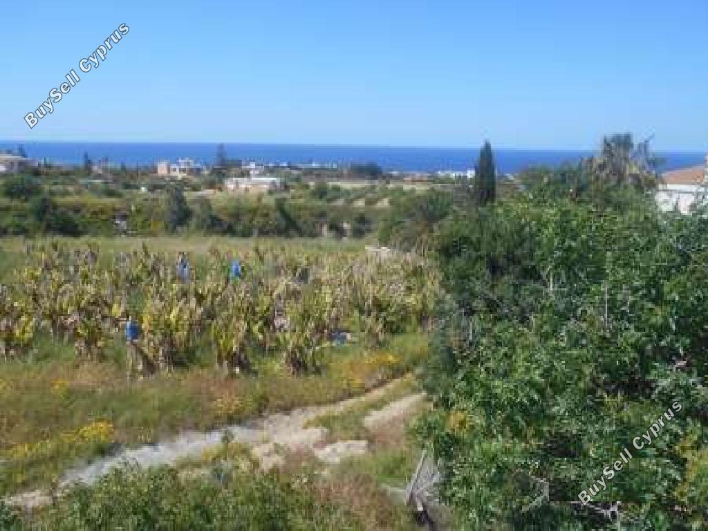 Land in Paphos (837424) for sale