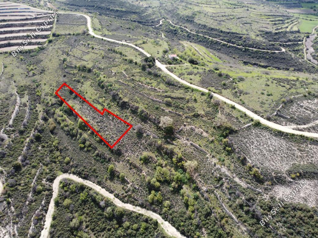 Land in Limassol (839355) for sale