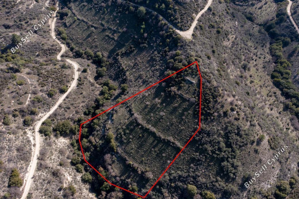 Land in Limassol (839420) for sale