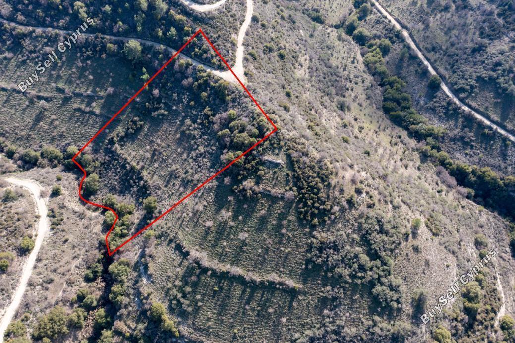 Land in Limassol (839431) for sale