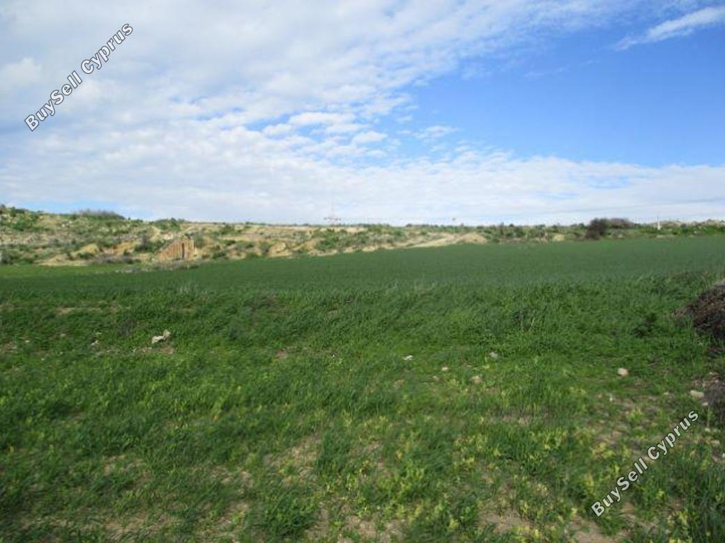 Land in Larnaca (839559) for sale