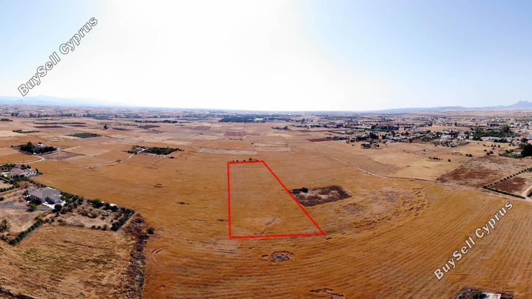 Land in Nicosia (839589) for sale