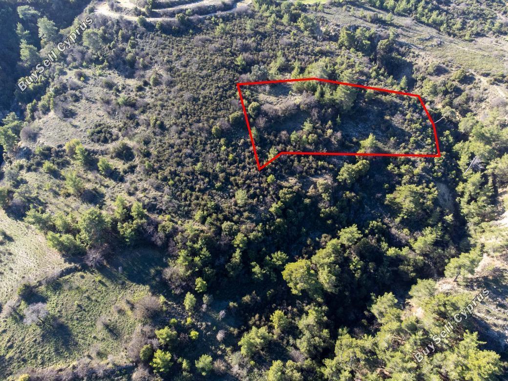 Land in Paphos (839798) for sale