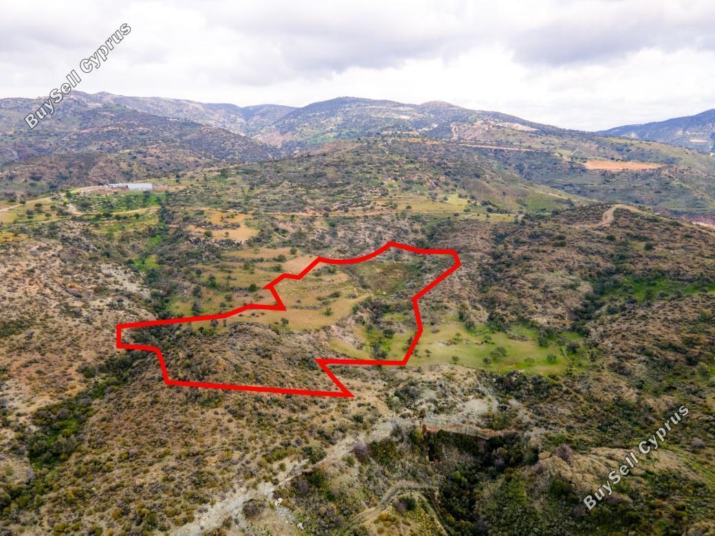 Land in Paphos (839801) for sale