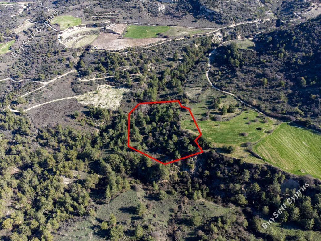 Land in Paphos (839808) for sale