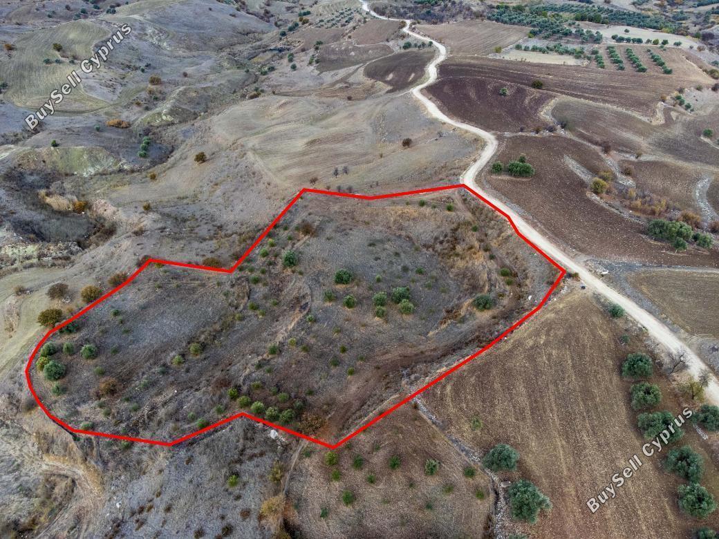 Land in Paphos (839822) for sale