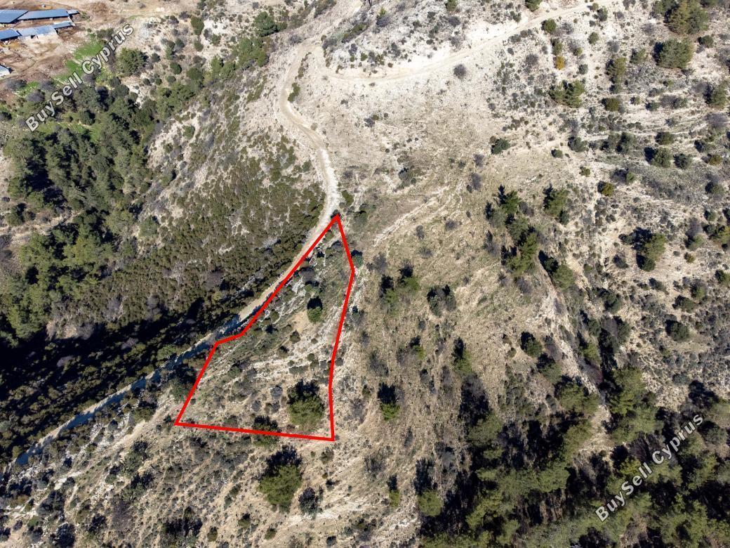 Land in Paphos (839838) for sale