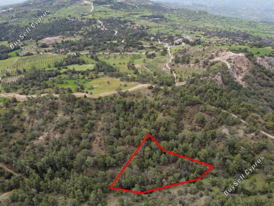 Land in Paphos (839851) for sale
