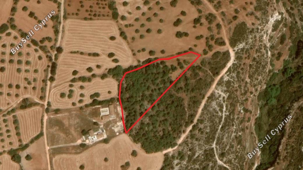 Land in Paphos (839883) for sale