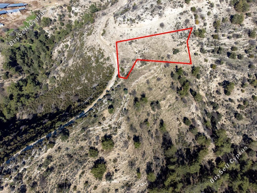 Land in Paphos (839921) for sale