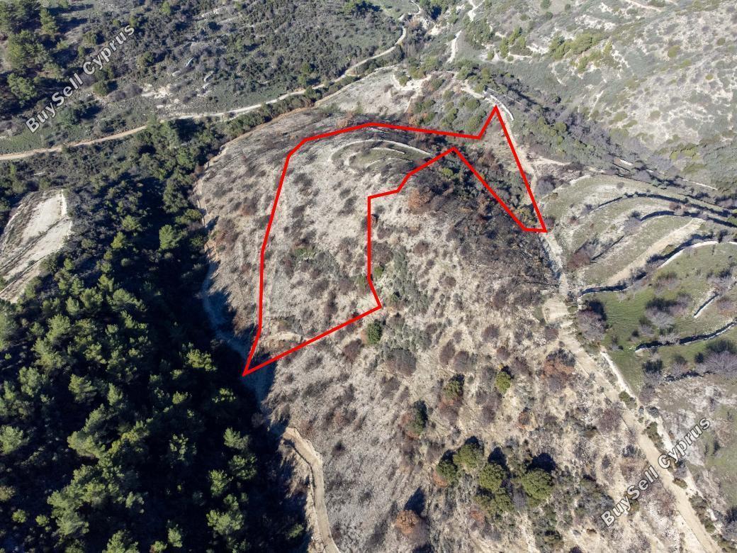Land in Paphos (839941) for sale