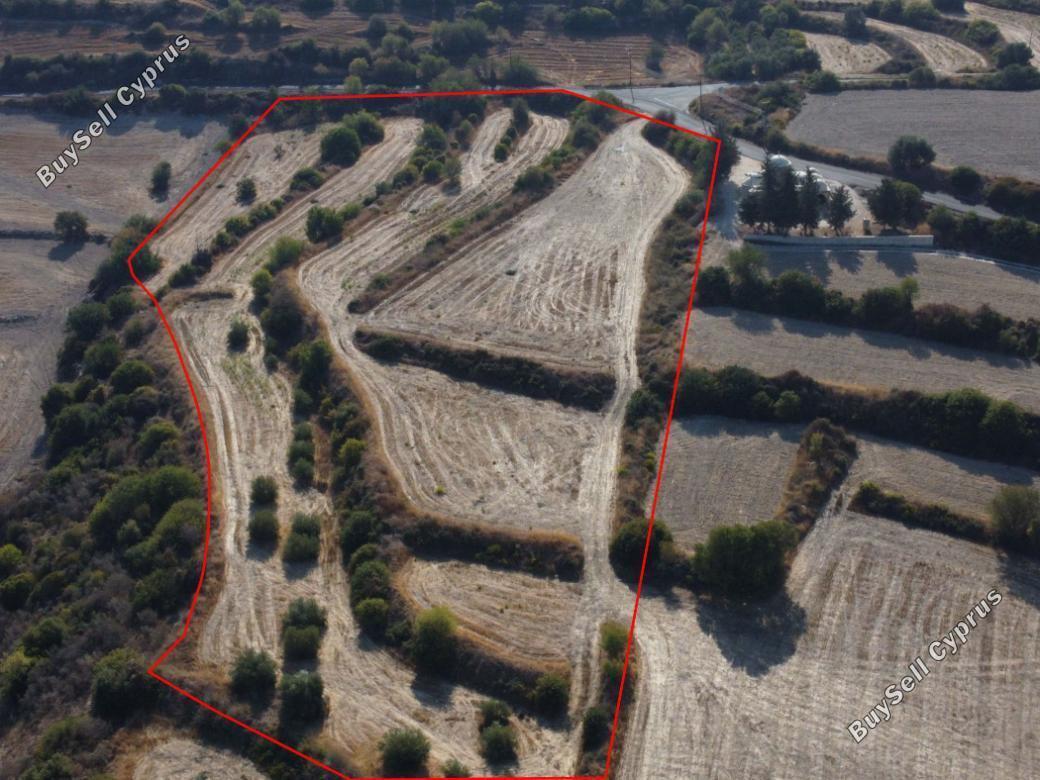 Land in Paphos (839947) for sale