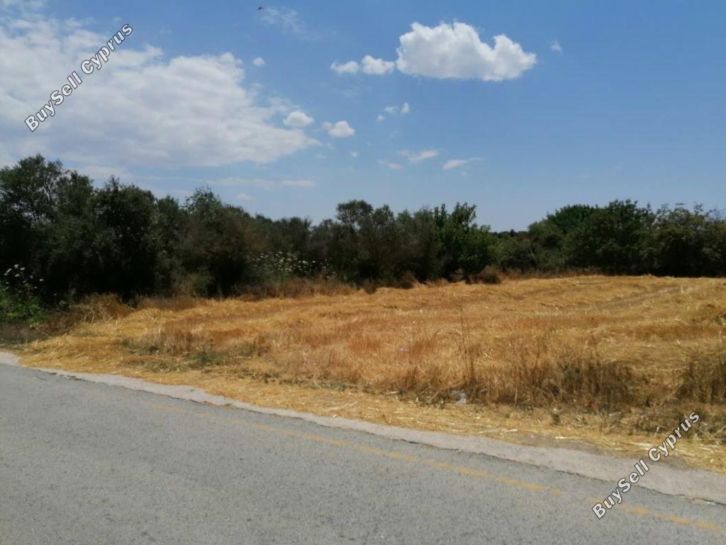 Land in Paphos (840256) for sale