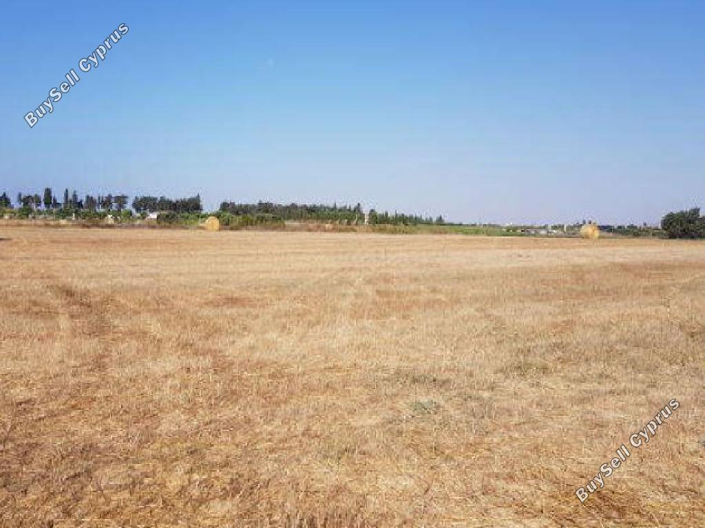 Land in Larnaca (843056) for sale