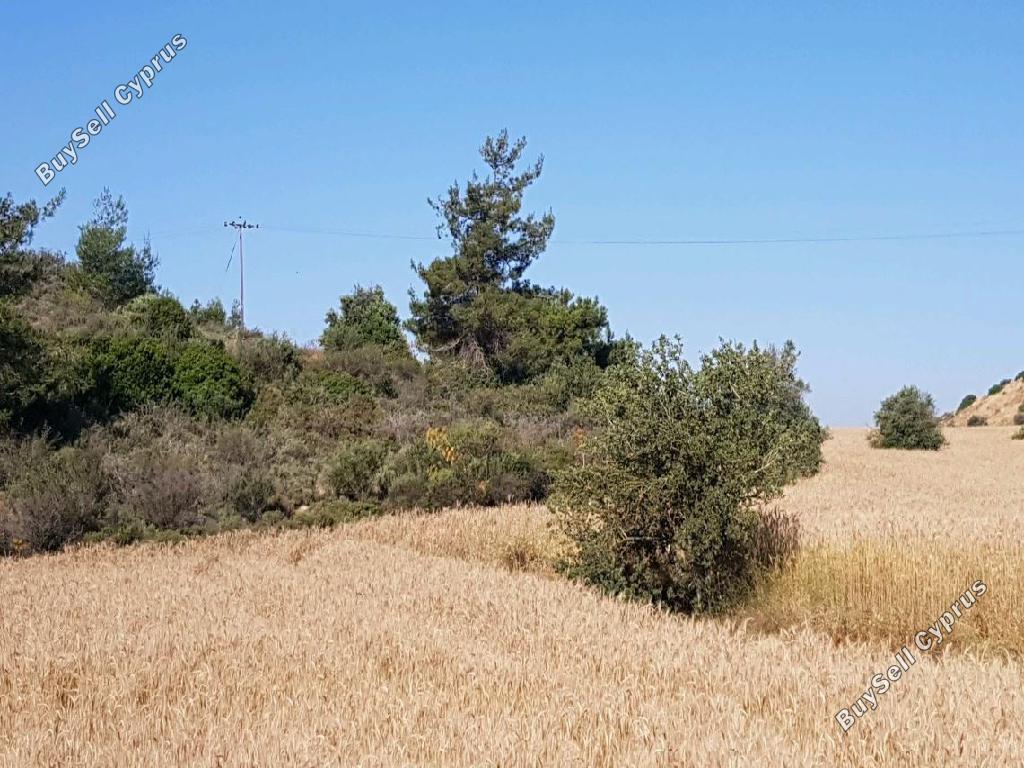 Land in Larnaca (843063) for sale