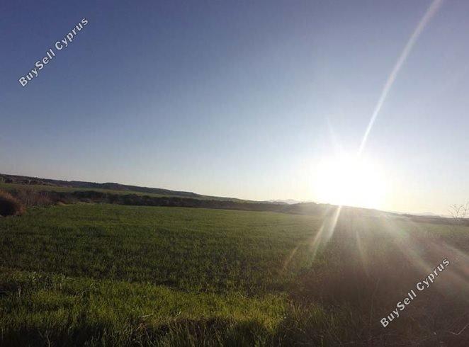 Land in Nicosia (844934) for sale