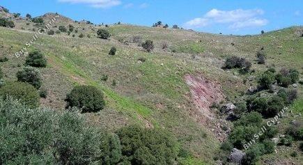 Land in Paphos (844971) for sale