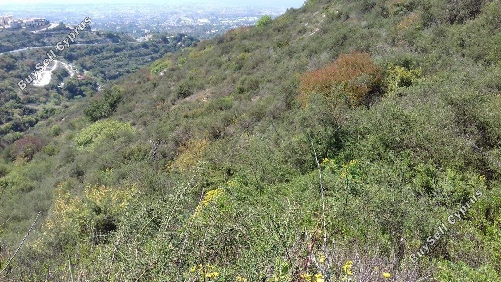 Land in Paphos (845035) for sale