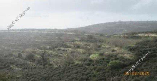 Land in Paphos (845045) for sale