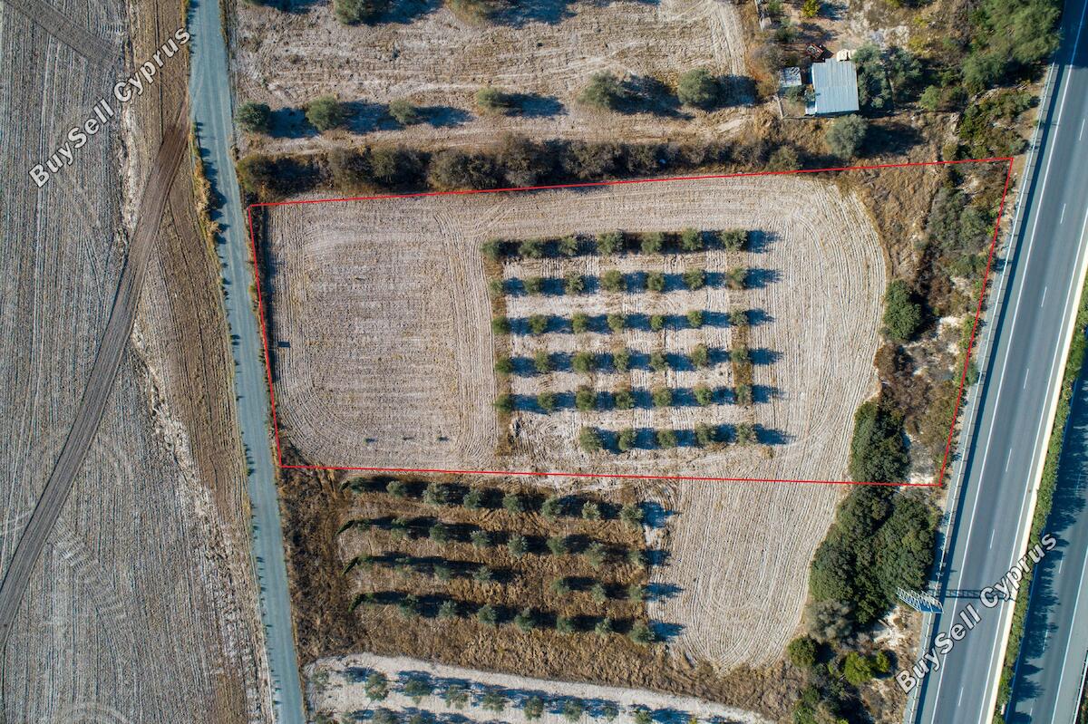 Land in Larnaca (845046) for sale