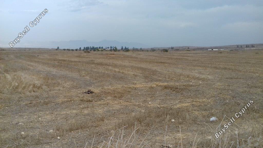 Land in Nicosia (845081) for sale