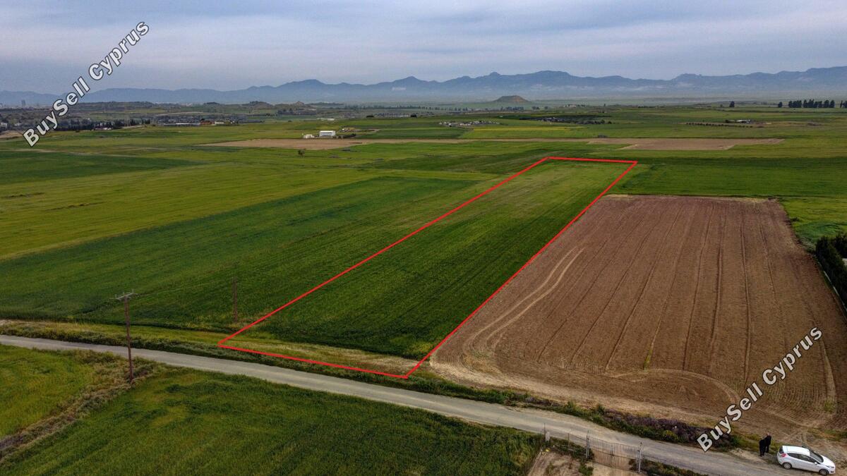 Land in Nicosia (845085) for sale