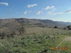Land in Paphos (845106) for sale