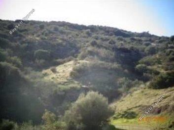 Land in Nicosia (845123) for sale