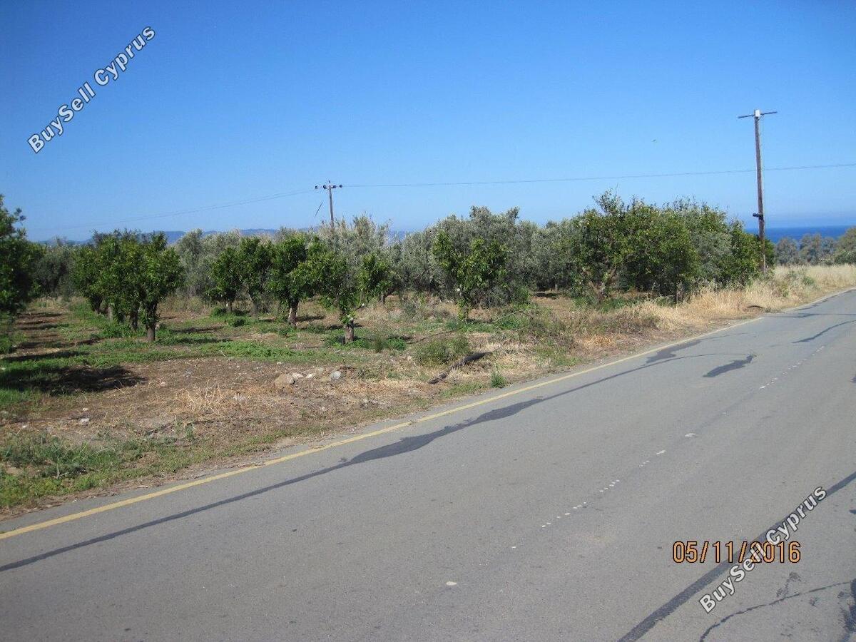 Land in Paphos (845137) for sale