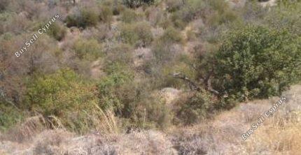 Land in Paphos (845146) for sale