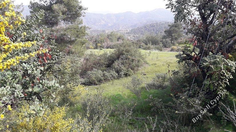 Land in Paphos (845147) for sale
