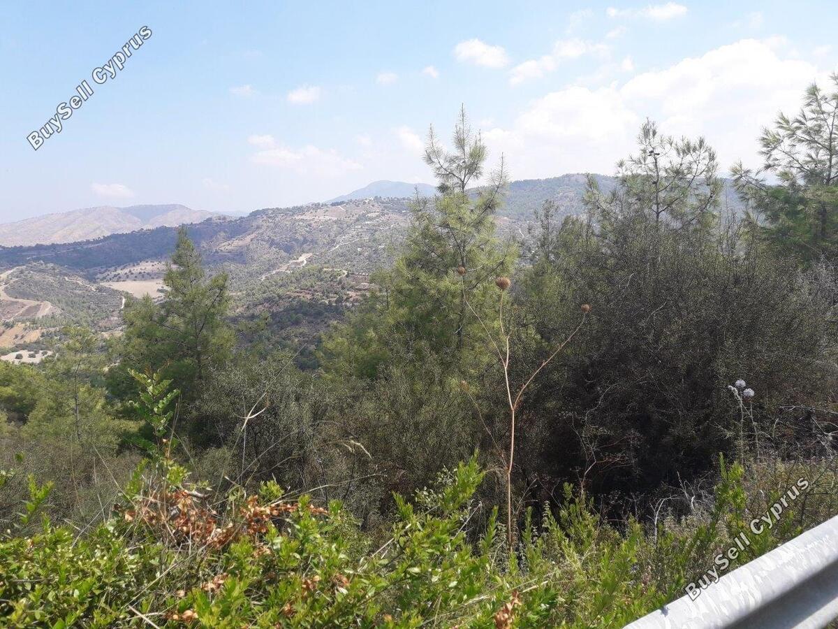 Land in Paphos (845155) for sale