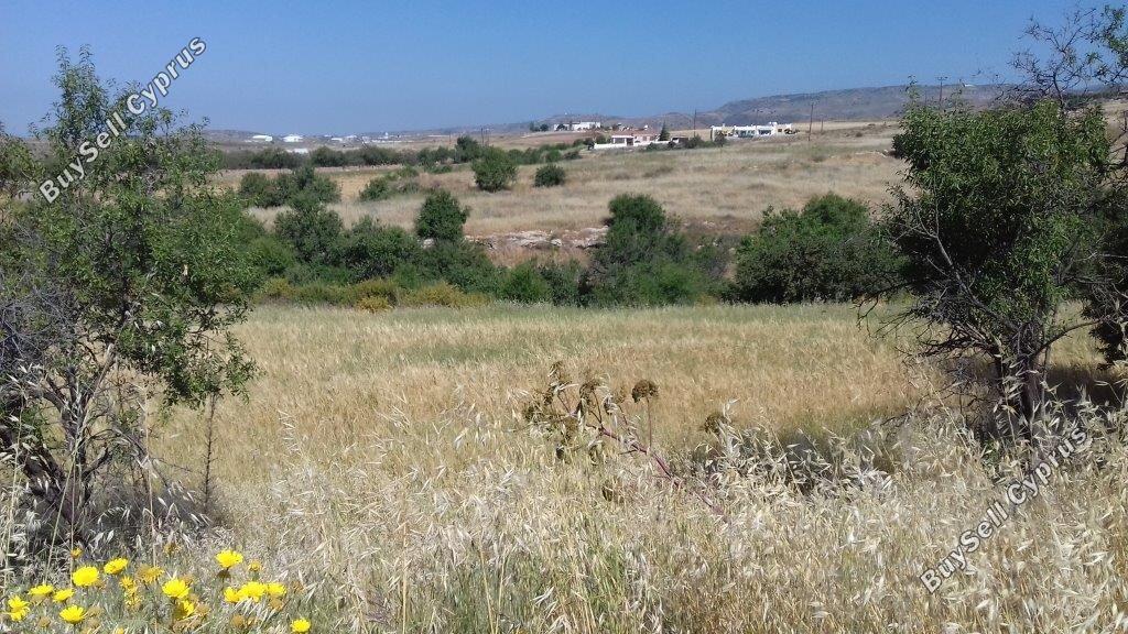 Land in Paphos (845160) for sale