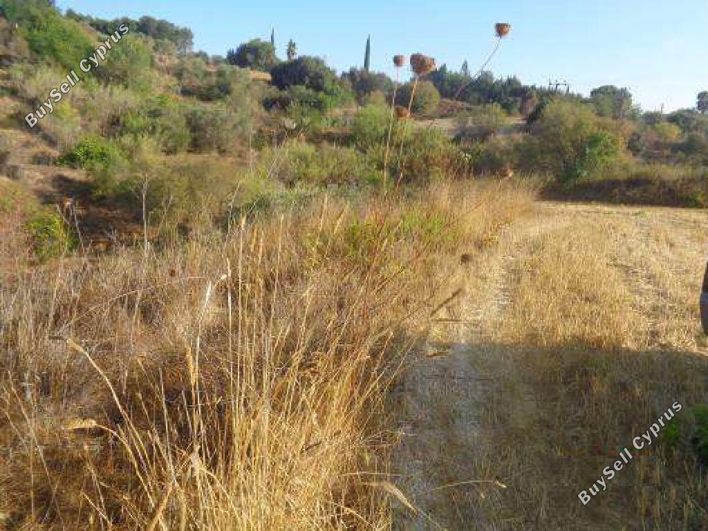 Land in Paphos (847974) for sale