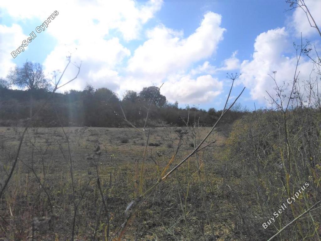 Land in Paphos (849776) for sale