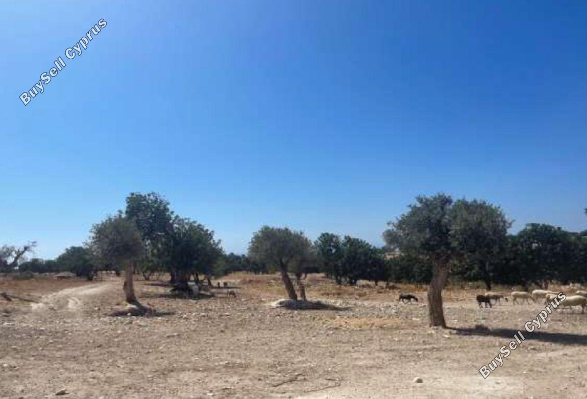 Land in Limassol (853054) for sale