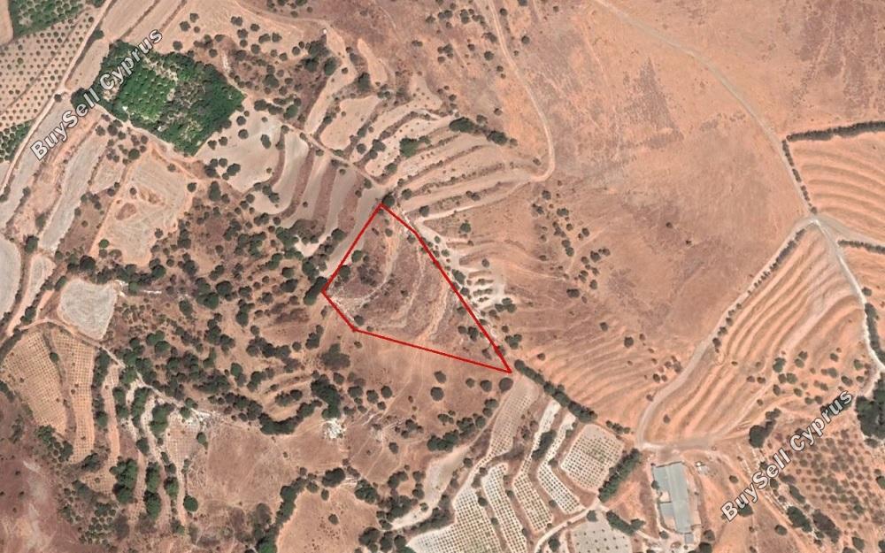 Land in Paphos (853161) for sale