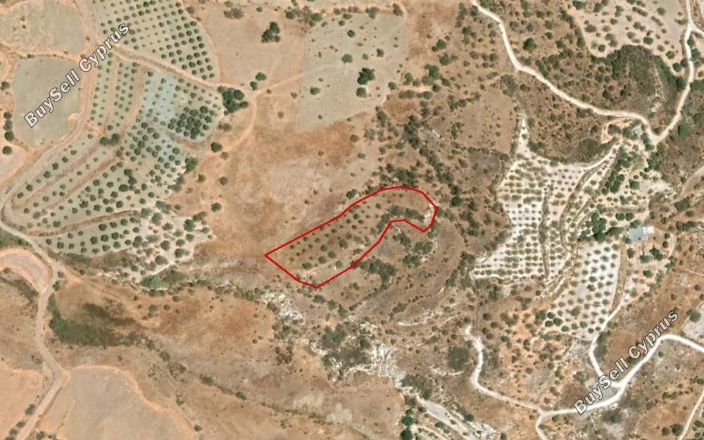 Land in Paphos (853168) for sale