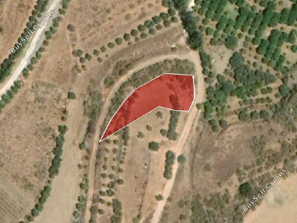 Land in Paphos (853538) for sale