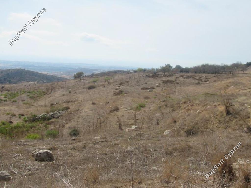 Land in Paphos (853539) for sale