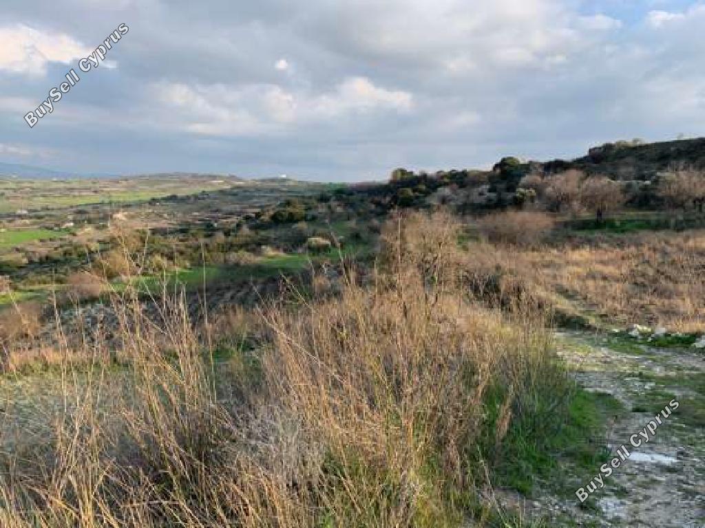 Land in Paphos (853540) for sale