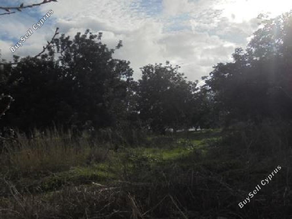 Land in Paphos (853541) for sale